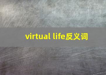 virtual life反义词